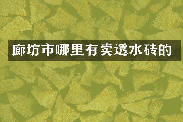 廊坊市哪里有卖透水砖的