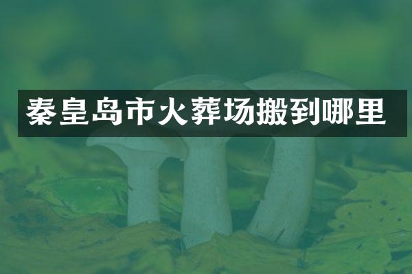秦皇岛市火葬场搬到哪里