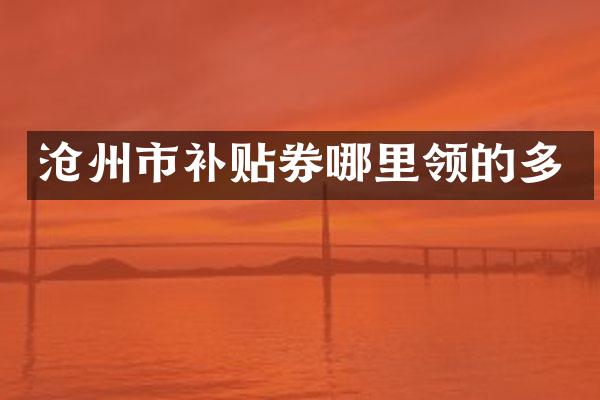 沧州市补贴券哪里领的多