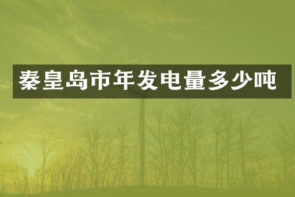 秦皇岛市年发电量多少吨