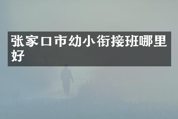 张家口市幼小衔接班哪里好
