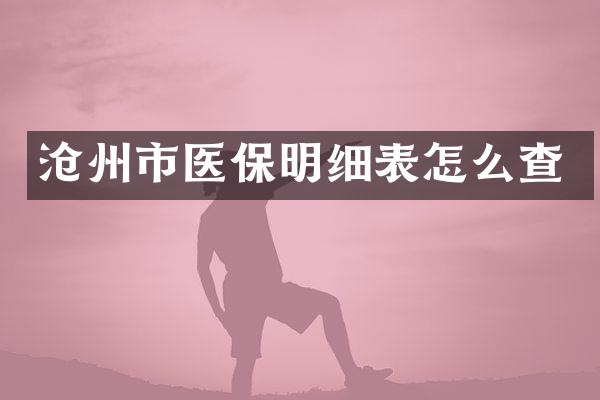 沧州市医保明细表怎么查