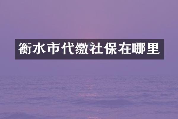 衡水市代缴社保在哪里