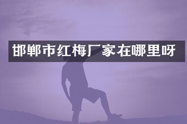 邯郸市红梅厂家在哪里呀