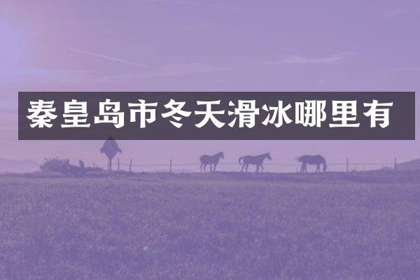 秦皇岛市冬天滑冰哪里有