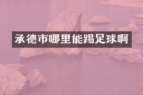 承德市哪里能踢足球啊