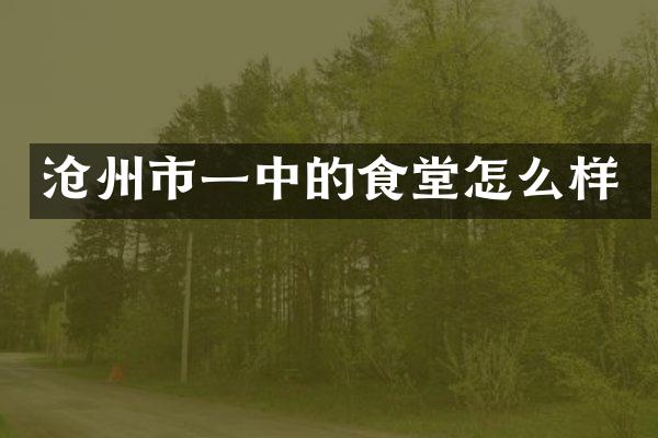 沧州市一中的食堂怎么样