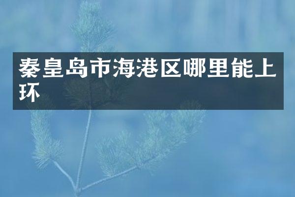 秦皇岛市海港区哪里能上环
