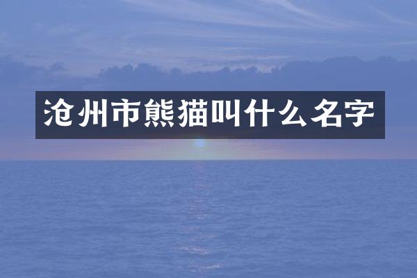 沧州市熊猫叫什么名字