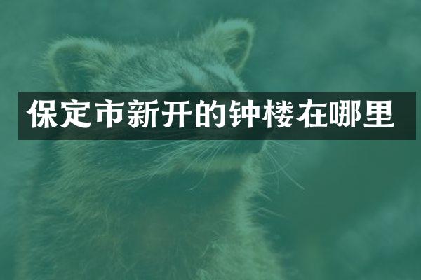 保定市新开的钟楼在哪里
