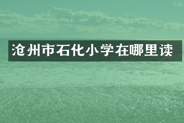 沧州市石化小学在哪里读
