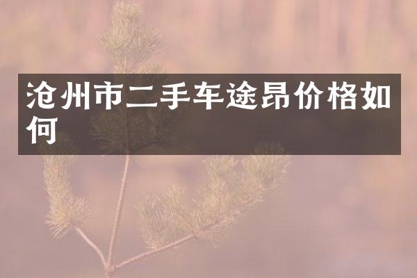 沧州市二手车途昂价格如何