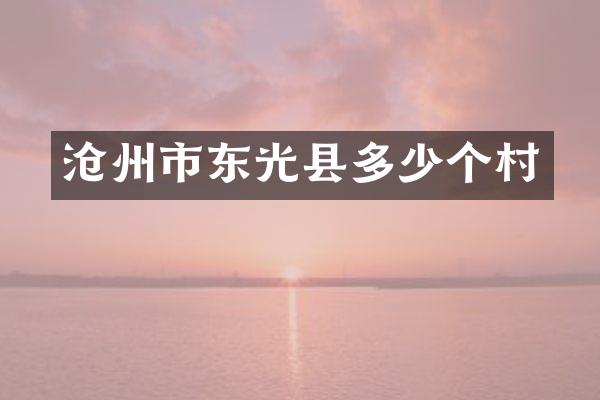 沧州市东光县多少个村