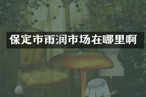 保定市雨润市场在哪里啊