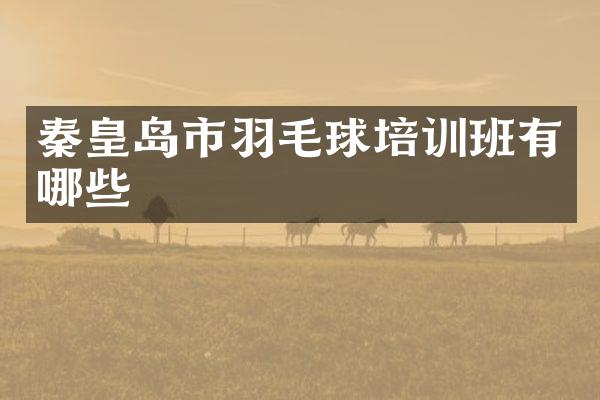 秦皇岛市羽毛球培训班有哪些