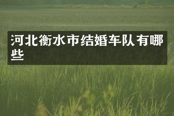 河北衡水市结婚车队有哪些