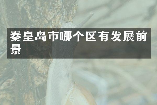 秦皇岛市哪个区有发展前景