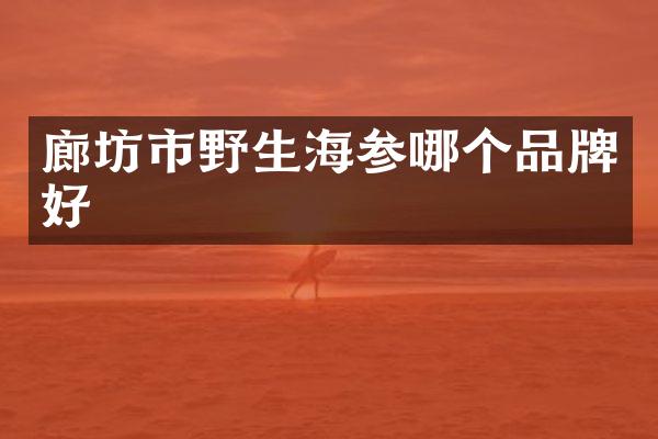 廊坊市野生海参哪个品牌好