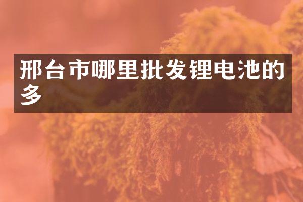 邢台市哪里批发锂电池的多