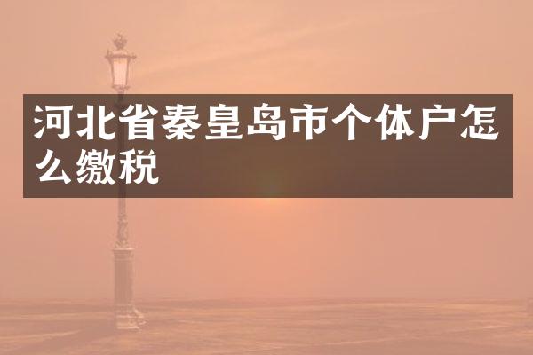 河北省秦皇岛市个体户怎么缴税
