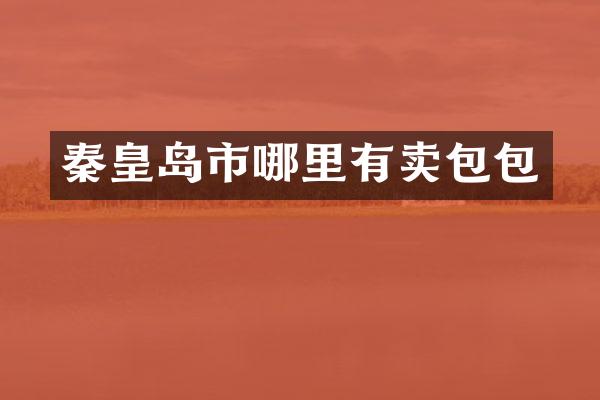 秦皇岛市哪里有卖包包