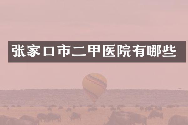 张家口市二甲医院有哪些