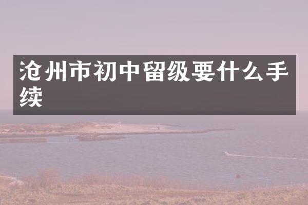 沧州市初中留级要什么手续