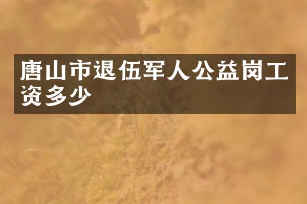 唐山市退伍军人公益岗工资多少