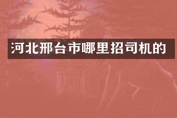 河北邢台市哪里招司机的