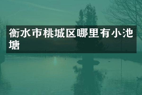 衡水市桃城区哪里有小池塘