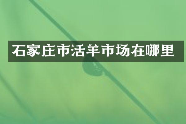 石家庄市活羊市场在哪里