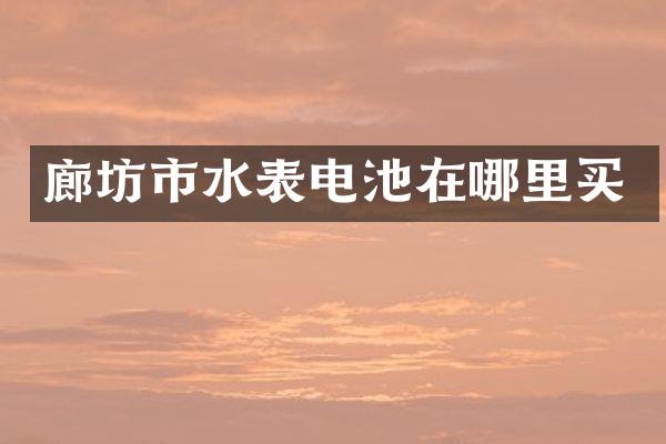 廊坊市水表电池在哪里买