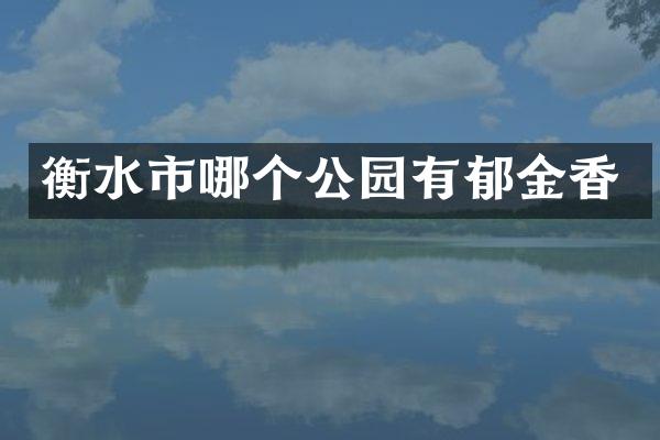 衡水市哪个公园有郁金香