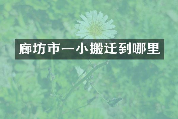 廊坊市一小搬迁到哪里