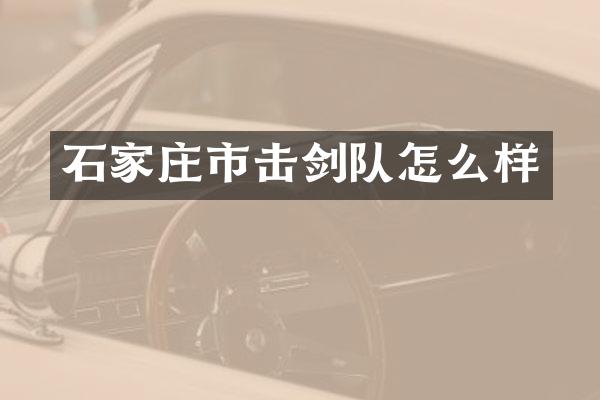 石家庄市击剑队怎么样