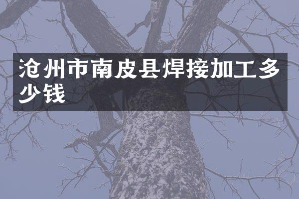 沧州市南皮县焊接加工多少钱