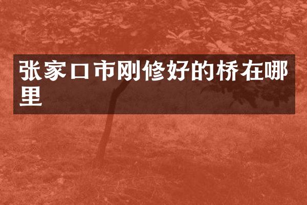 张家口市刚修好的桥在哪里