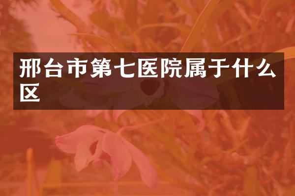 邢台市第七医院属于什么区