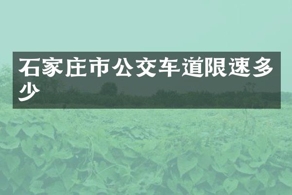 石家庄市公交车道限速多少