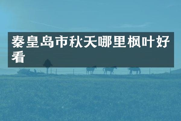 秦皇岛市秋天哪里枫叶好看