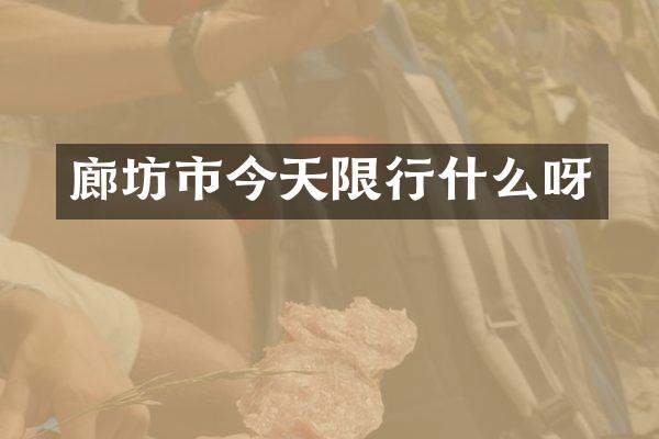 廊坊市今天限行什么呀