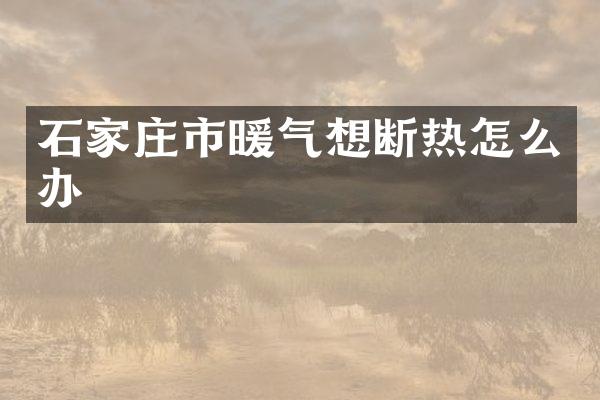 石家庄市暖气想断热怎么办
