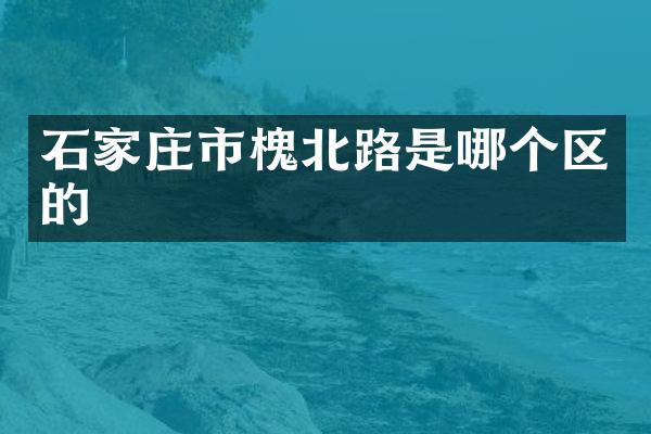 石家庄市槐北路是哪个区的