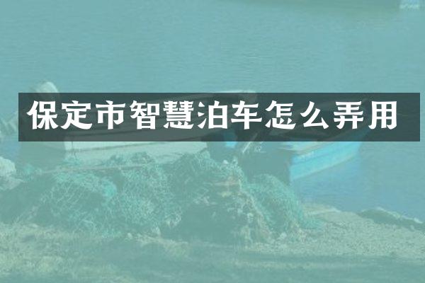 保定市智慧泊车怎么弄用