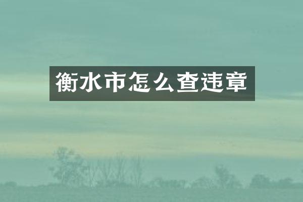 衡水市怎么查违章