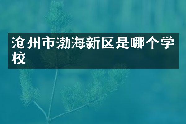 沧州市渤海新区是哪个学校