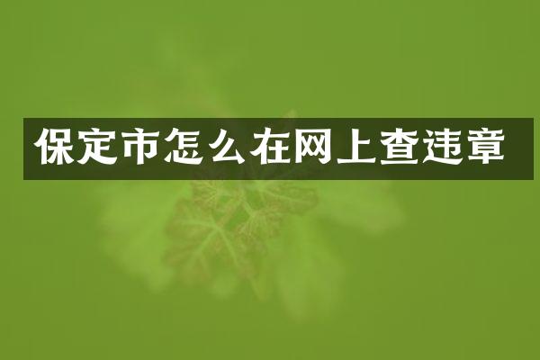 保定市怎么在网上查违章