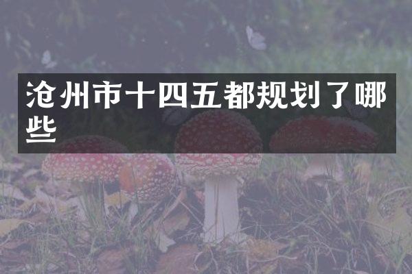 沧州市十四五都规划了哪些