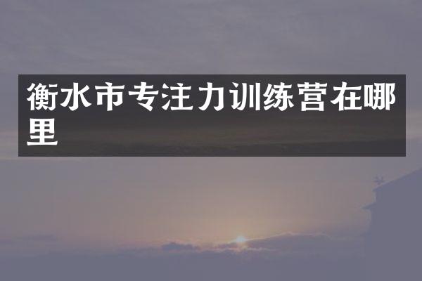 衡水市专注力训练营在哪里