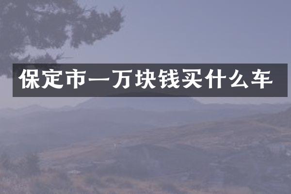 保定市一万块钱车